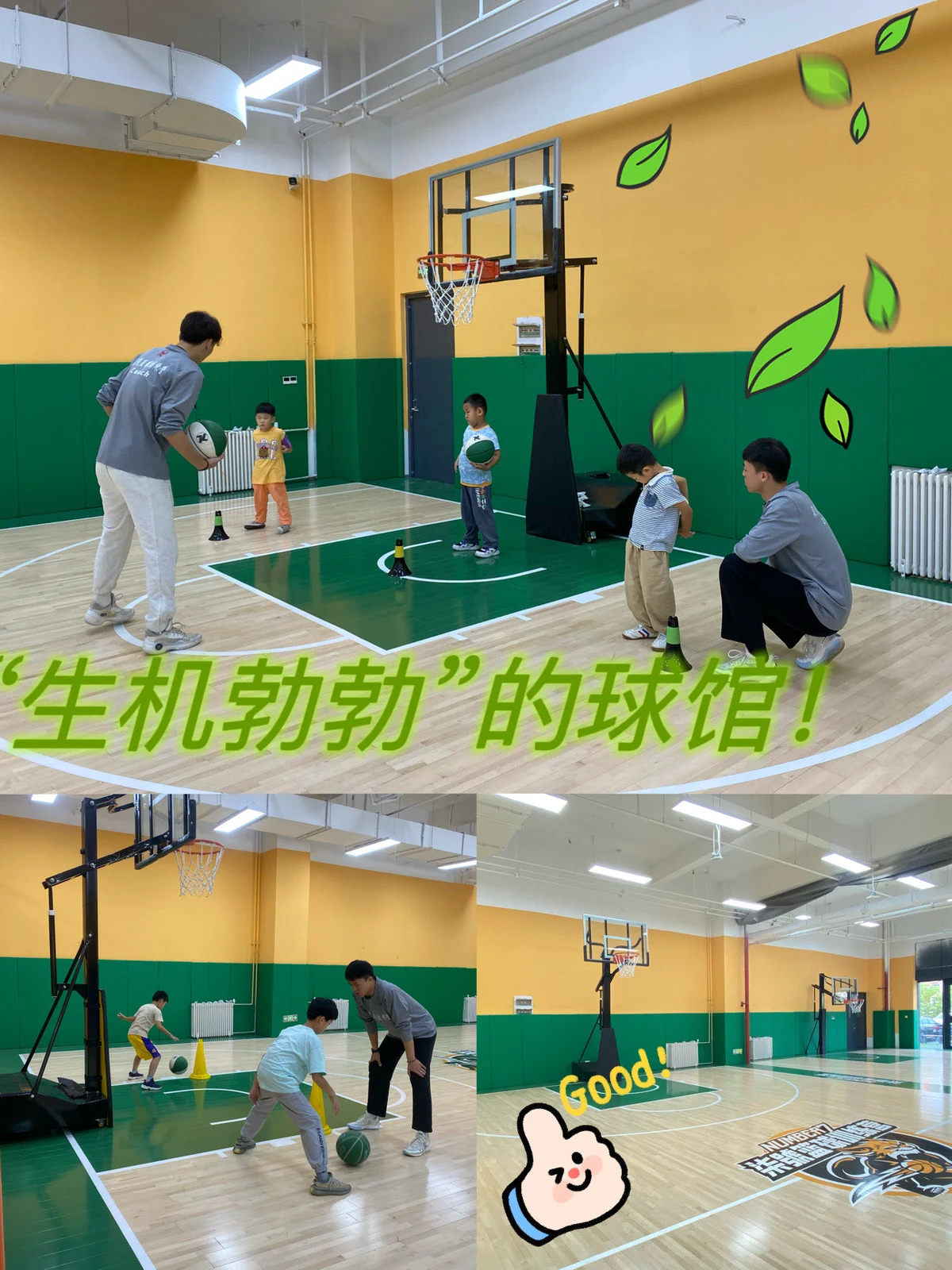 篮球训练心得体会200字左右作文_2